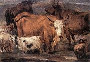 Nicolaes Pietersz. Berchem Animal Study oil painting